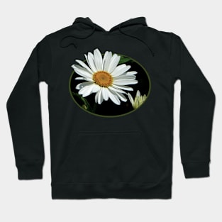 Daisies - One White Daisy Hoodie